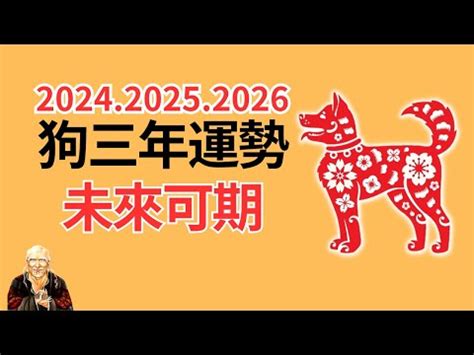 1982屬狗幸運數字|1982年属狗招财数字，82年属狗求财用什么数字最旺